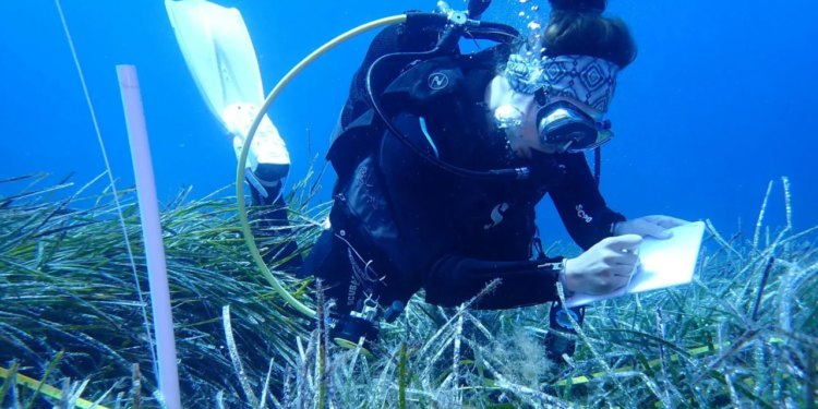 Poziv na Blue Café susret u Zadru: Rasprava o izazovima i budućnosti Jadrana