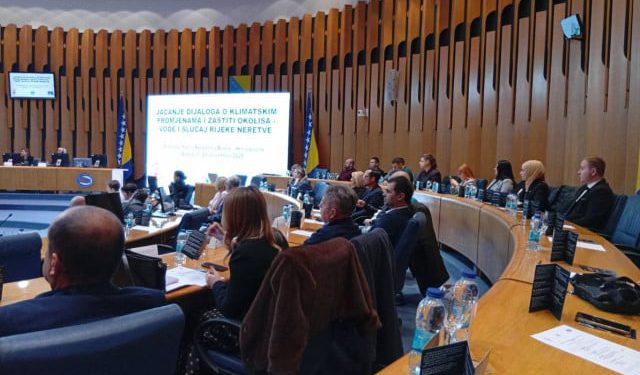 Predstavljeni rezultati analiza zbog čega je došlo do pomora ribe u Neretvi