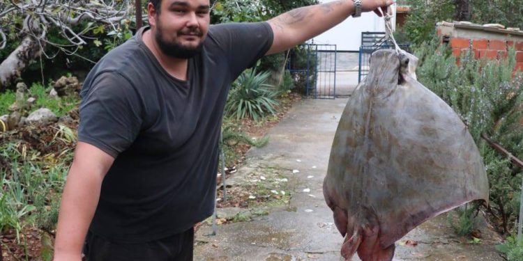 Ribar s Vira nije smio zadržati goluba ćukana, to je ugrožena vrsta!