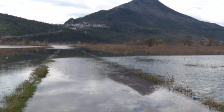 SVAKE GODINE ISTO Poplavljena vrgorska polja