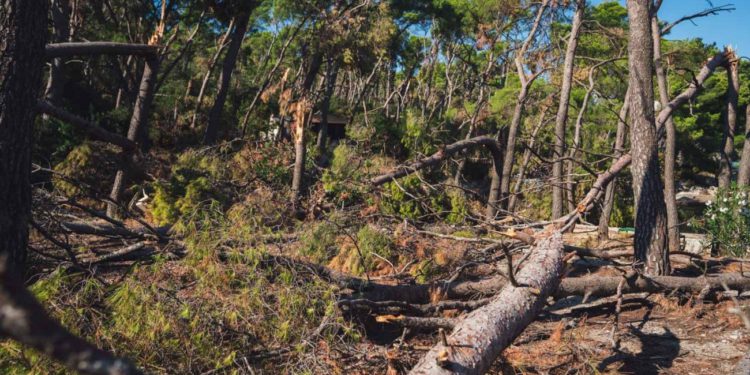 Sanacija posljedica nevremena na Marjanu: radovi počinju po okončanju žalbenog postupka