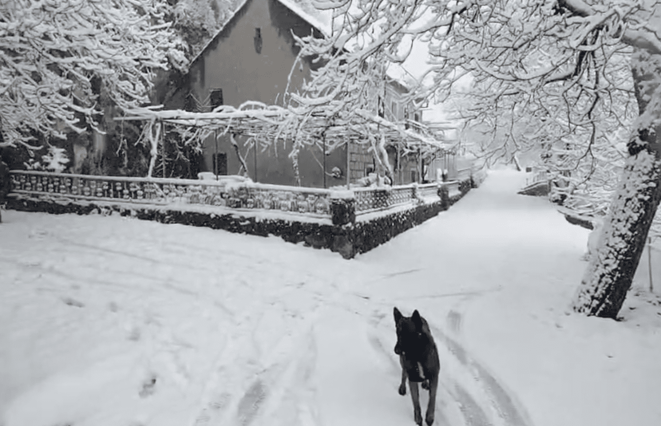 Slika zaslona 2025 11 22 u 10 51 13