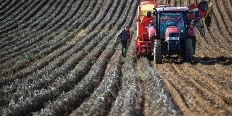 Slobodna Dalmacija – Država časti! Pogledajte koliko su novca dobili ovi mladi Dalmatinci i koji su im planovi