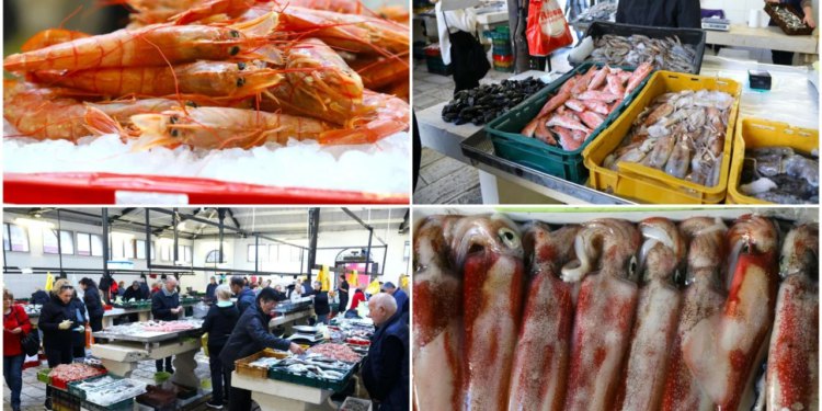 Slobodna Dalmacija – FOTO A ‘judi, divote na Peškariji! Nema čega nema, sve krcato; ima i kapitalaca. Ova lignja je čudo; ravno u teću