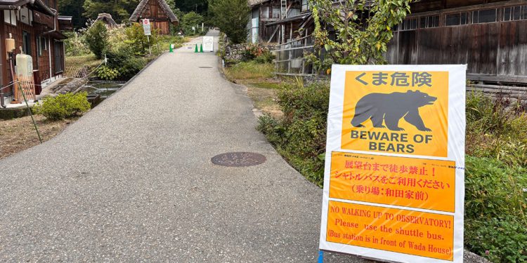 State Department upozorava Amerikance u Japanu nakon smrtonosnog porasta napada medvjeda