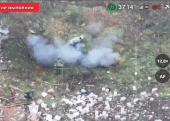 Svinja spasila dva ruska vojnika da ne stanu na moju – mediji (VIDEO) — RT Rusija i bivši Sovjetski Savez