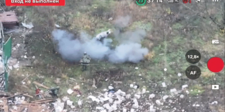 Svinja spasila dva ruska vojnika da ne stanu na moju – mediji (VIDEO) — RT Rusija i bivši Sovjetski Savez