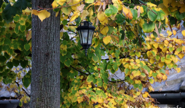 Temperature ispod nule zabilježene u BiH, evo kakvo nas vrijeme očekuje za vikend