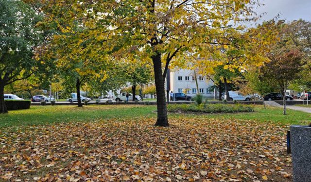 Vremenska prognoza za Mostar i Hercegovinu – 04.11.2025