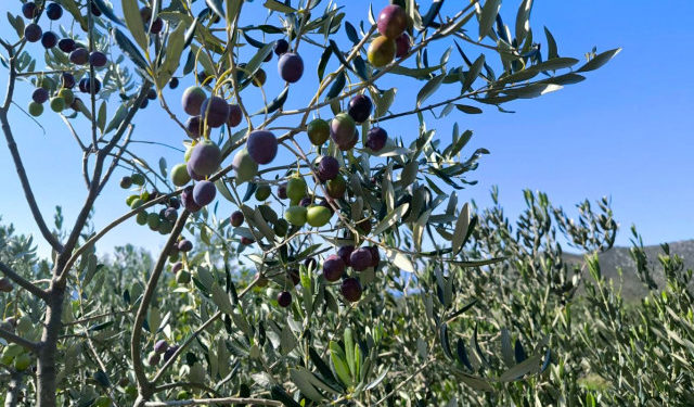 Vremenska prognoza za Mostar i Hercegovinu – 05.11.2025