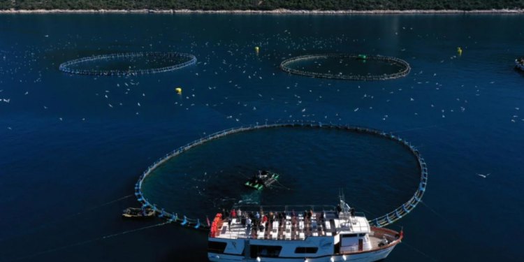 Zadarska županija ruši rekorde: U listopadu preko 68 tisuća zaposlenih, rast od 40 posto u deset godina!