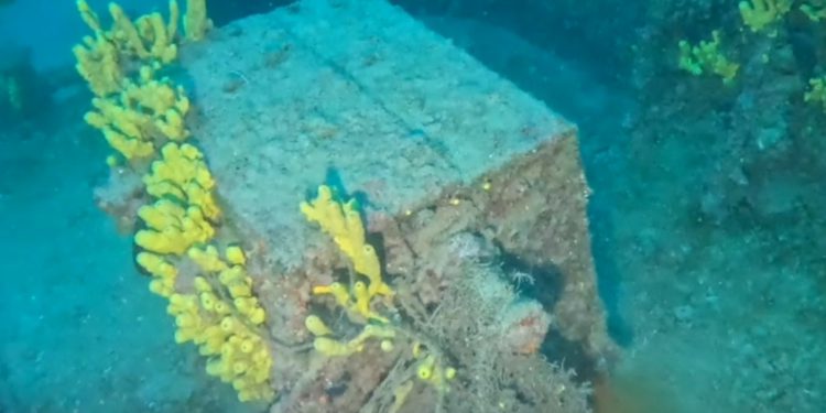 Zaronili na dno Jadranskog mora pa otkrili neočekivano bogatstvo, stoji još iz 2. svjetskog rata