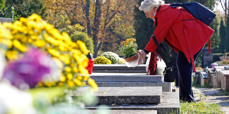 Zašto nosimo krizanteme na groblje: Cvijet s najdubljim značenjem blagdana Svih svetih