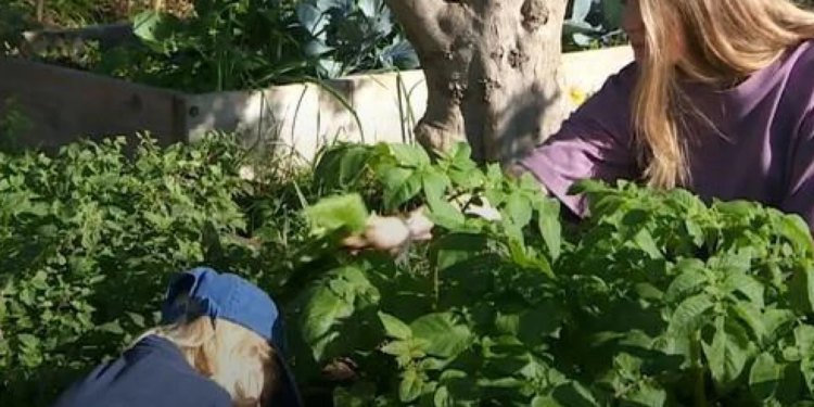 Zemljište obitelji Blaće već je dugo na meti brojnih kupaca: umjesto penthouse-a, oni biraju prirodu i vrt