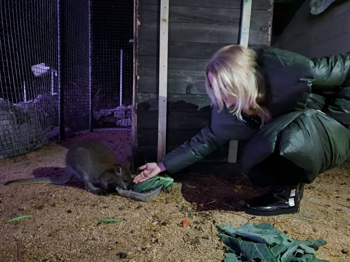 bozicno selo izletiste lucic  667