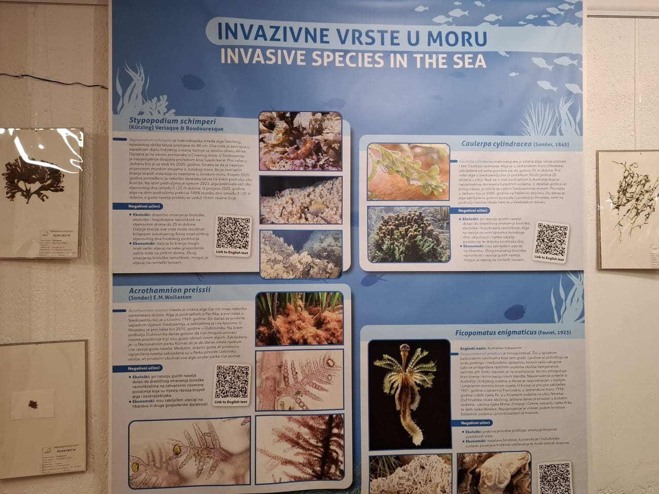 invazija prirodoslovni muzej  13