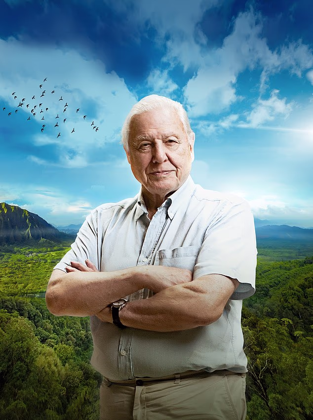 Njegovo pismo od BBC-ja i njegova ranija prijava za shemu TV obuke sada će činiti dio nove arhive od više od 50.000 dokumenata koji detaljno opisuju različite aspekte 100-godišnje povijesti nacionalne radiotelevizije