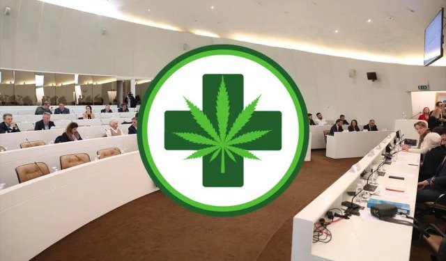 ANKETA Treba li BiH omogućiti korištenje kanabisa za medicinske svrhe?