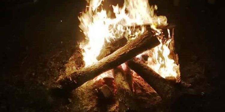 BADNJAK Dan neposrednedne pripreme za Božić |