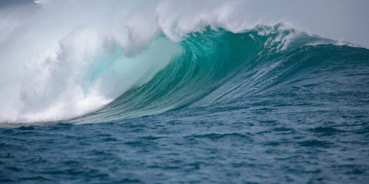 COP 24 – Sastanak za budućnost okoliša Mediterana na kojem je sudjelovala i naša znanstvenica!