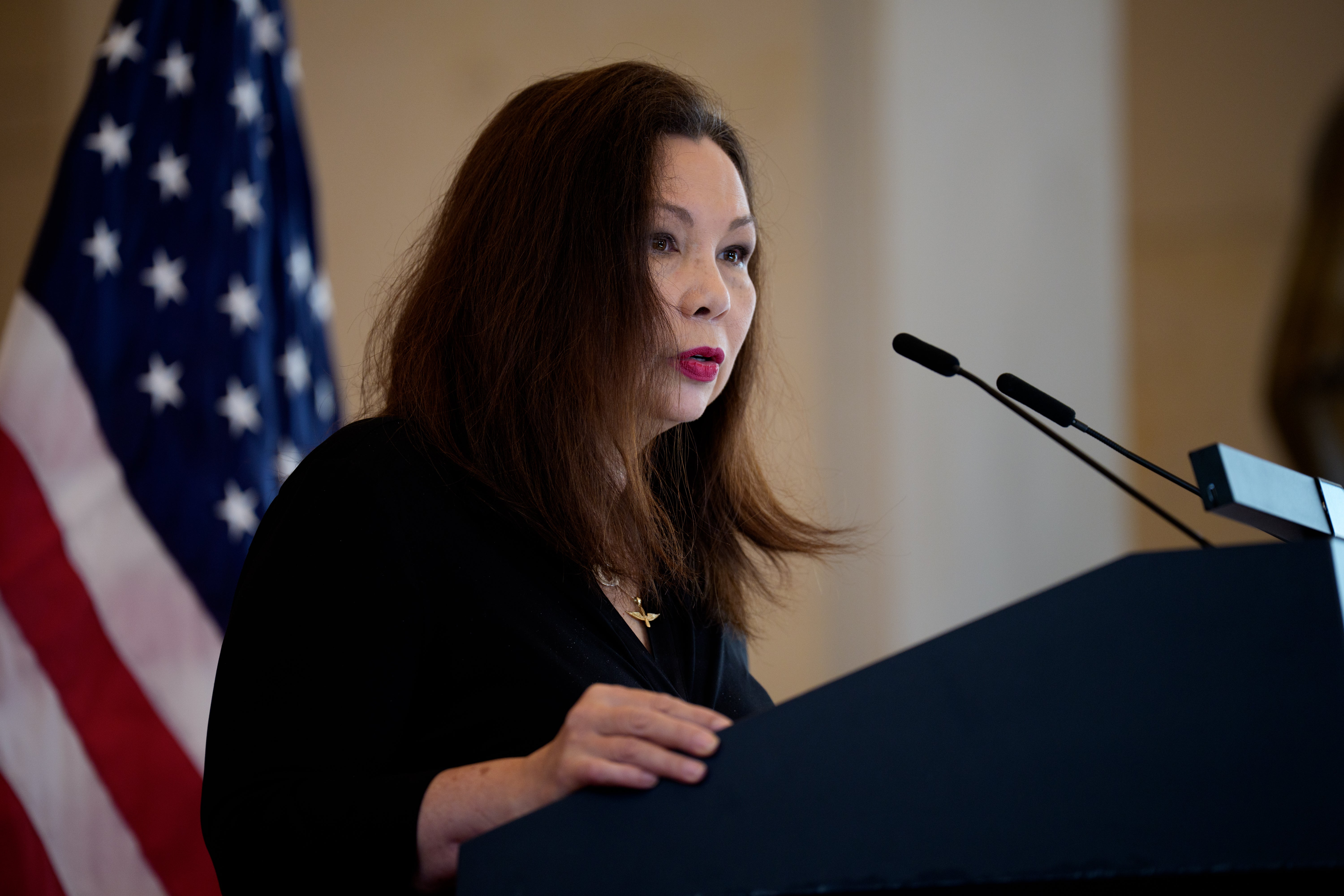 Senatorica Tammy Duckworth poziva predsjedavajućeg Mikea Johnsona da odustane od svog protivljenja proširenju IVF podrške vojnim obiteljima, za koju kaže da je podržavaju i demokrati i republikanci