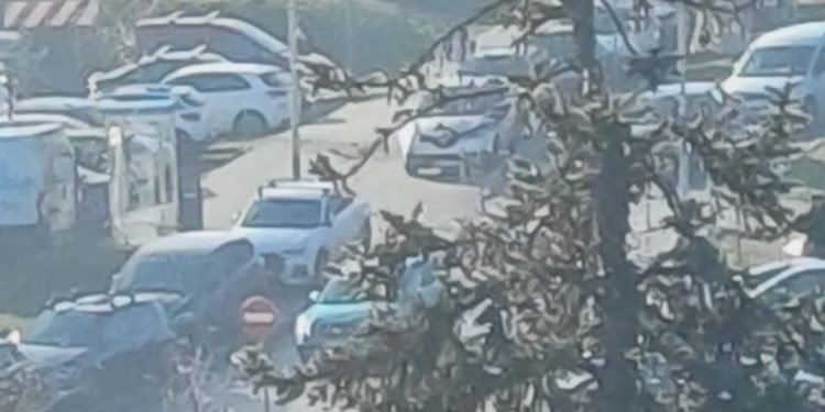 Hrvat se ražestio zbog izletnika na Sljeme: ‘Nama seljacima odmah kazna’