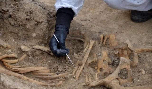 Izvršena ekshumacija u Mostaru: Pronađeni posmrtni ostaci u Šarića haremu