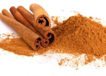 Kanjela može učiniti čudo za vaše zdravlje, ovo su njeni benefiti