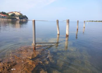 NOVIGRAD Inicijativa Dajla: “Građani ne žele luku nego plažu i komunalne vezove, a projekt istražuje i Europska komisija”