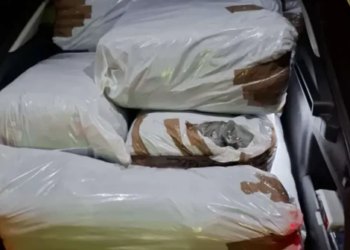 Na ulazu u BiH zaustavljen državljanin Srbije, evo što je pokušao prošvercati