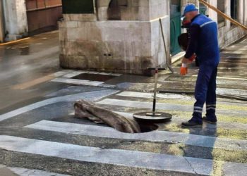 Netko je u Splitu bacio tapet u odvod