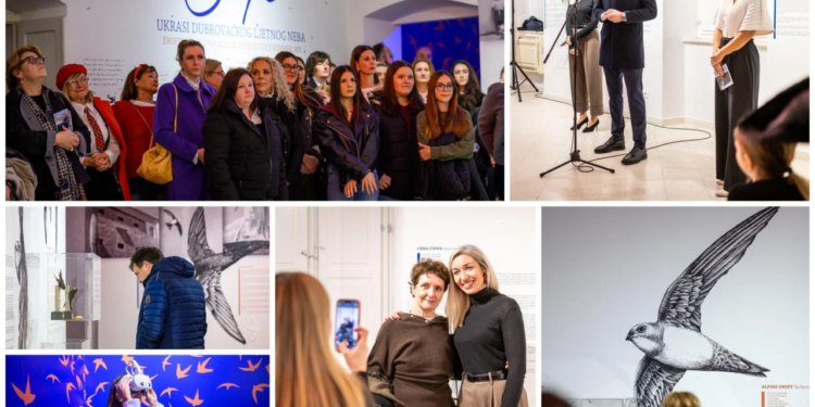 Otvorena izložba Ane Čučević i Dubravke Tullio: Čiope krase dubrovačko nebo, a odsad i prostor Prirodoslovnog muzeja