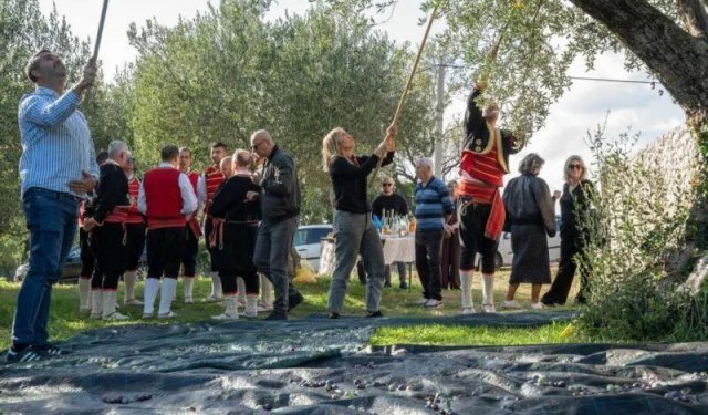 Poznata imena dobitnika potpore HNŽ za poljoprivrednu opremu