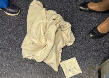 Put iz SAD-a u Srbiju pretvorio se u noćnu moru: Obitelj tuži aviokompanije