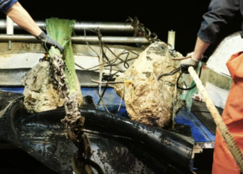 Ribarima kod Lopuda betonske gromade uništavaju mreže: „Netko baca građevinski otpad u more“