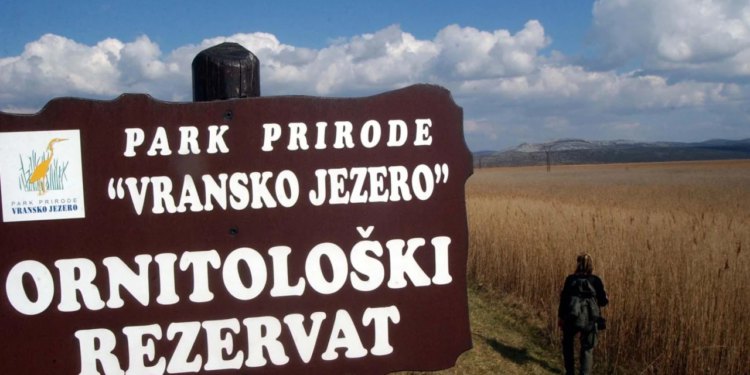 Sadnjom zelene barijere započele prve aktivnosti projekta “Restoring wetlands’”