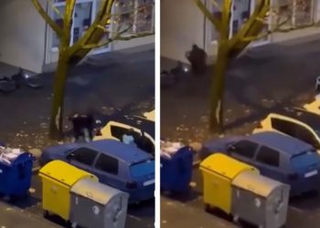 Širi se snimka brutalnog napada na stranog dostavljača u Španskom: ‘Prestrašno, sramota i užas’