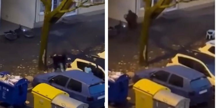 Širi se snimka brutalnog napada na stranog dostavljača u Španskom: ‘Prestrašno, sramota i užas’