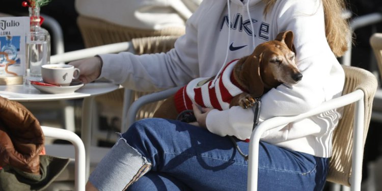 Slobodna Dalmacija – Božićno jutro u Splitu: od rodilišta do ručka na ulici, pogledajte koga smo sve sreli u šetnji gradom…