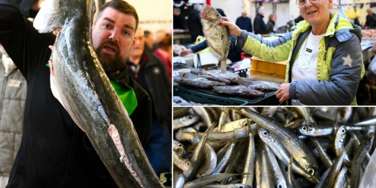 Slobodna Dalmacija – FOTO Asti divote na Peškariji! Zavladao božićni ugođaj; glavna zvijezda ipak nije bakalar. Brzo će Badnjak, a cijene…