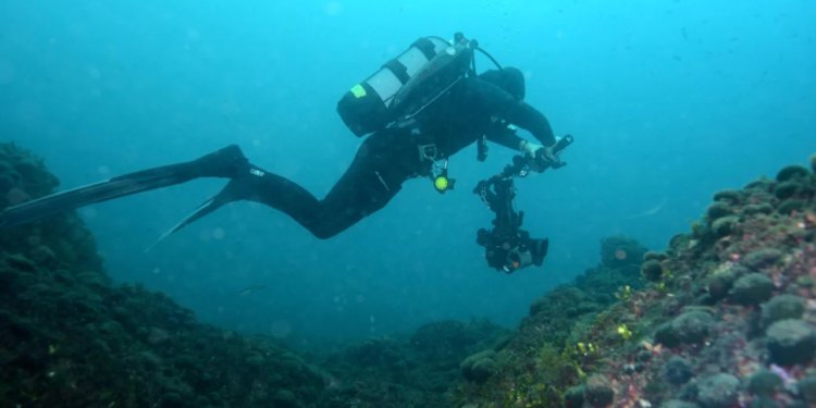 Slobodna Dalmacija – Splitski profesionalni ronilac priveden zbog ronilačkog noža: ‘Maltretirali su me, prijavit ću ih unutarnjoj kontroli’