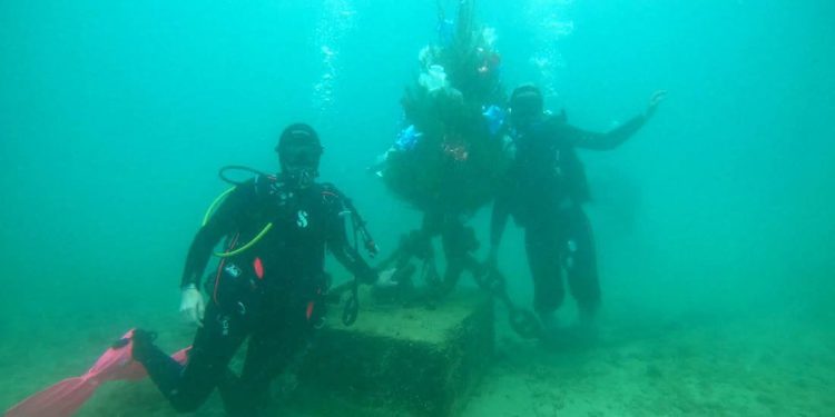 Splićani polažu 30. jubilarni put božićni bor pod more u humanitarne svrhe