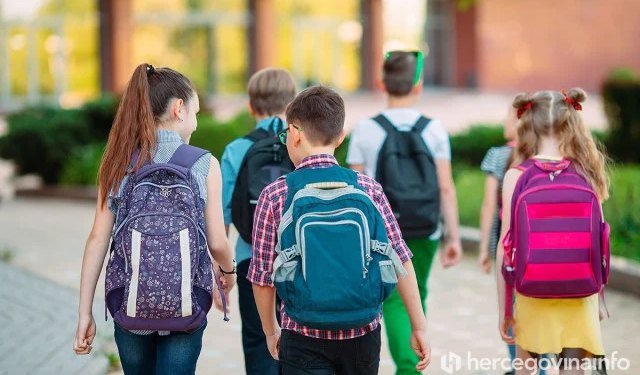 Sve je manje učenika u osnovnim školama