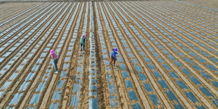 Trump pokušava održati popularnost kod poljoprivrednika: Okrivljuje Indiju za damping