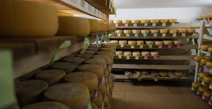 U CIJELOJ EU Zaštićen istarski ovčji sir, slijede li kobasice, tartufi i rakija?