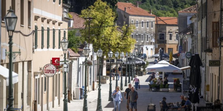 Uznemiravao goste kafića, a u ruci držao elektrošoker, prijatelj mu nasrnuo na policajce