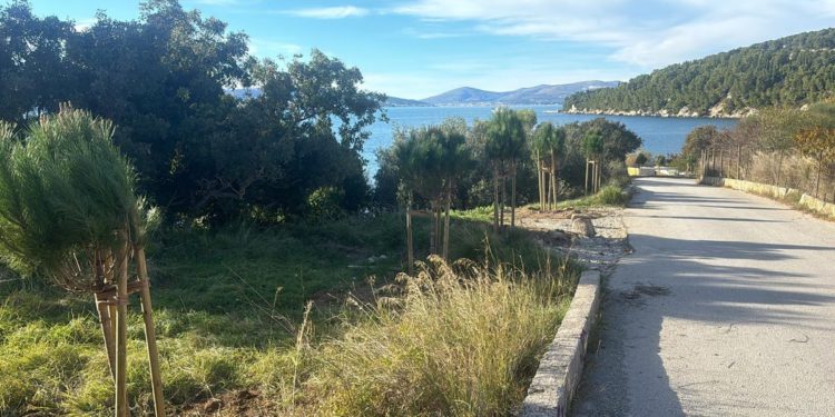 Visoki upravni Sud ukinuo odluku o ograničenju prometovanja na splitskom Marjanu