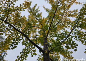 Vremenska prognoza za Mostar i Hercegovinu – 02.12.2025