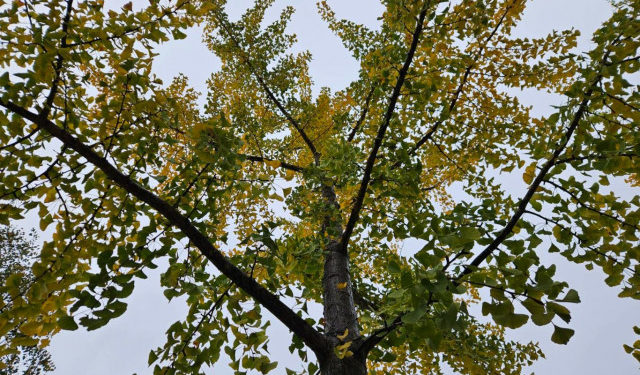 Vremenska prognoza za Mostar i Hercegovinu – 02.12.2025