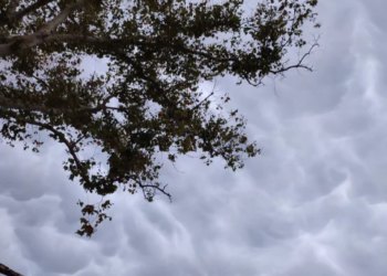 Vremenska prognoza za Mostar i Hercegovinu – 16.12.2025